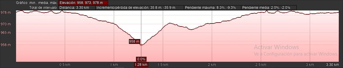 Perfil del circuito de la Carrera a Pie